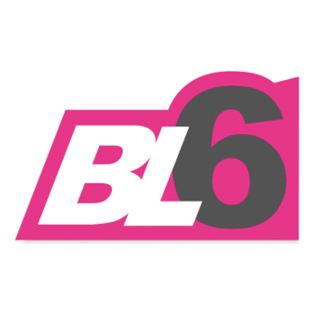 bl6