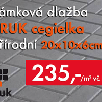 Zámková dlažba 20x10x6cm