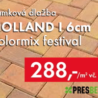 Holland I 6cm colormix festival Holland I 6cm colormix festival