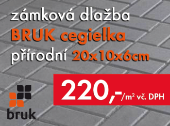 LETNÍ NABÍDKA - zámková dlažba 20x10x6cm