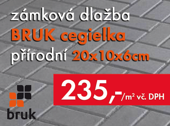 Zámková dlažba 20x10x6cm